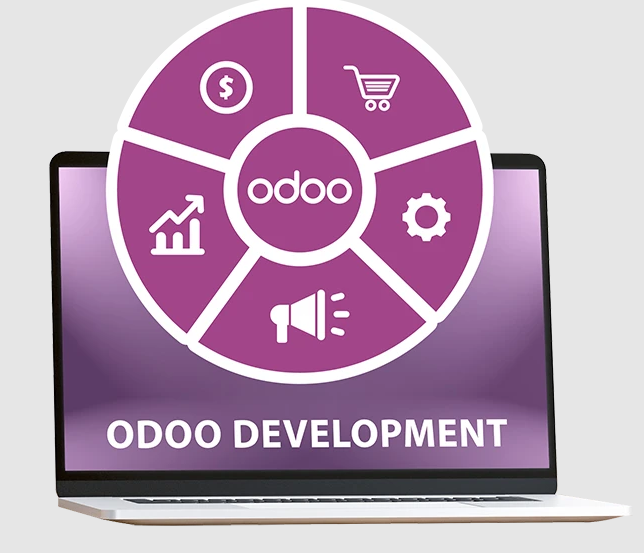Odoo Hourley Support Package