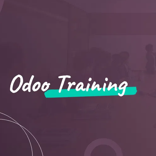 Odoo Online Training - One to One
